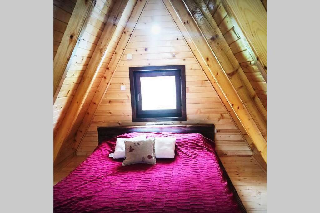 Villa Pinecone Žabljak Exterior foto